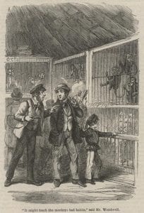 "How Sam Adam's Pipe Became a Pig," "British Workman" 110 (Feb 1864): 440.