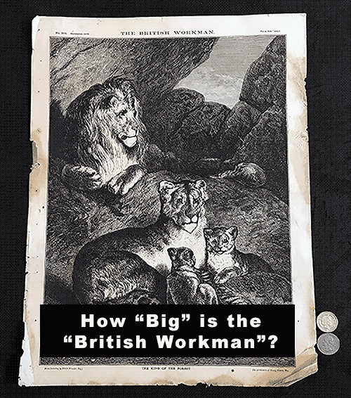 How_Big